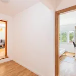 Mikula *