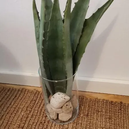 Mikula Apartament Makarska