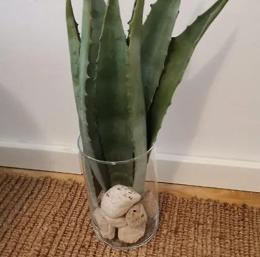 Mikula Appartamento Makarska